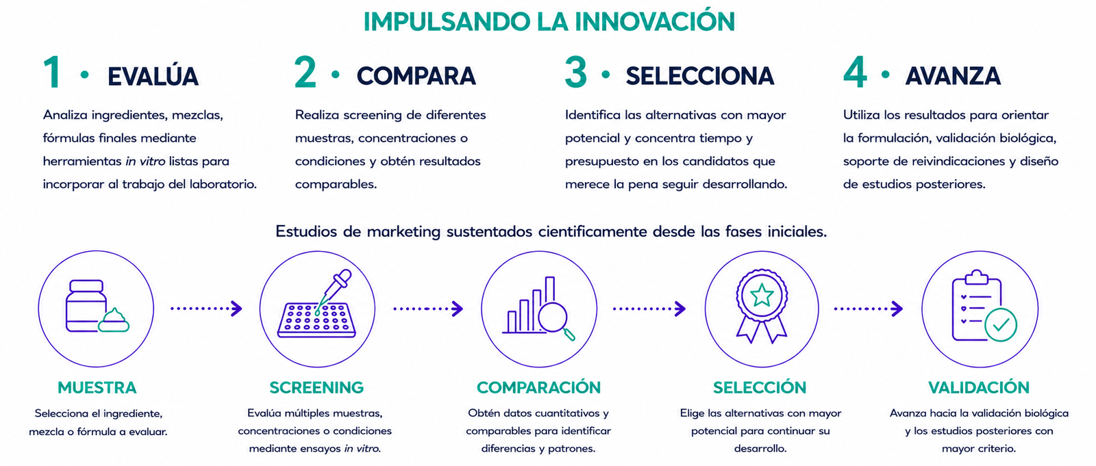 4 puntos de innovación